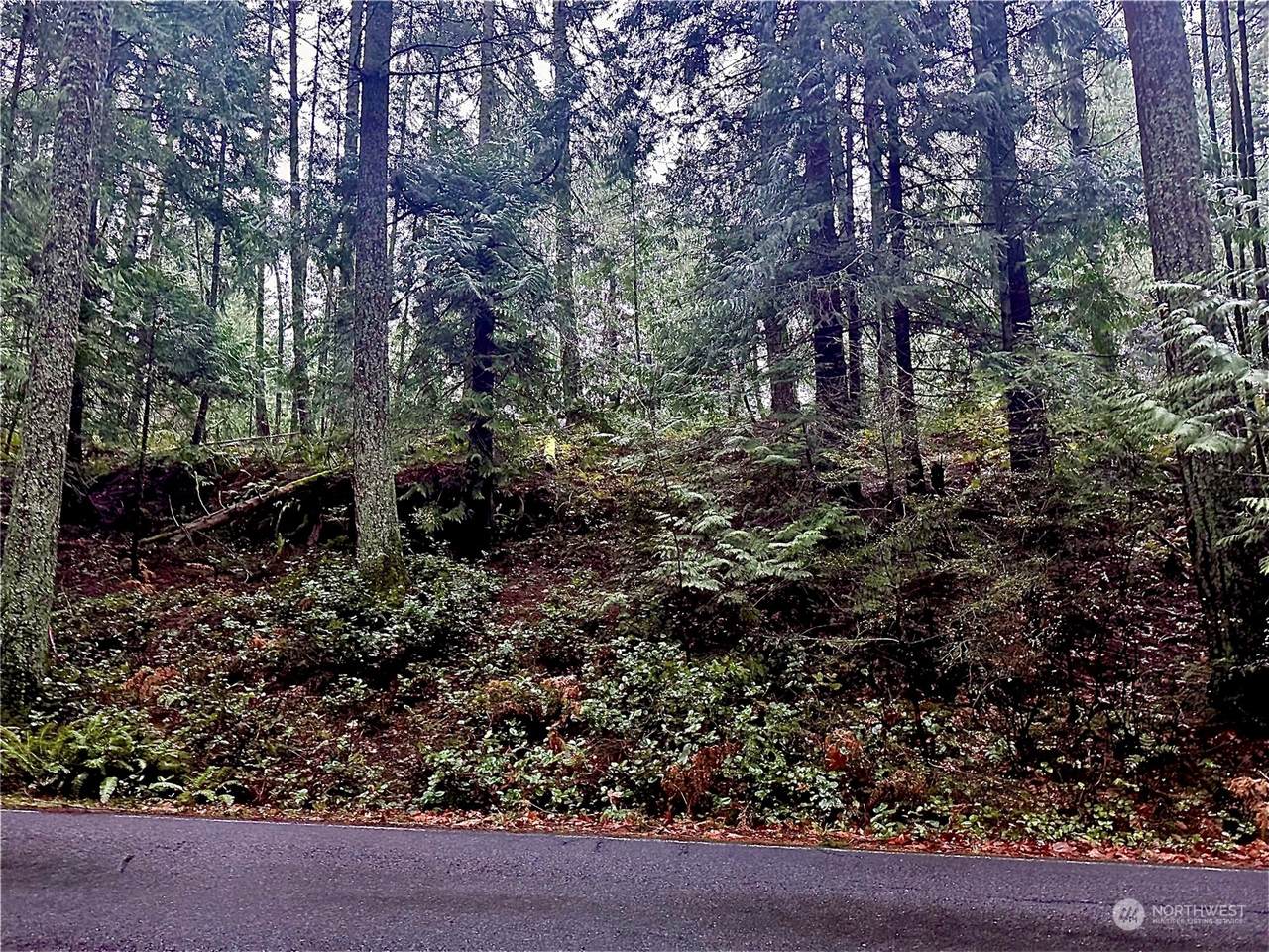 39 High Cliff Lane - Photo 1