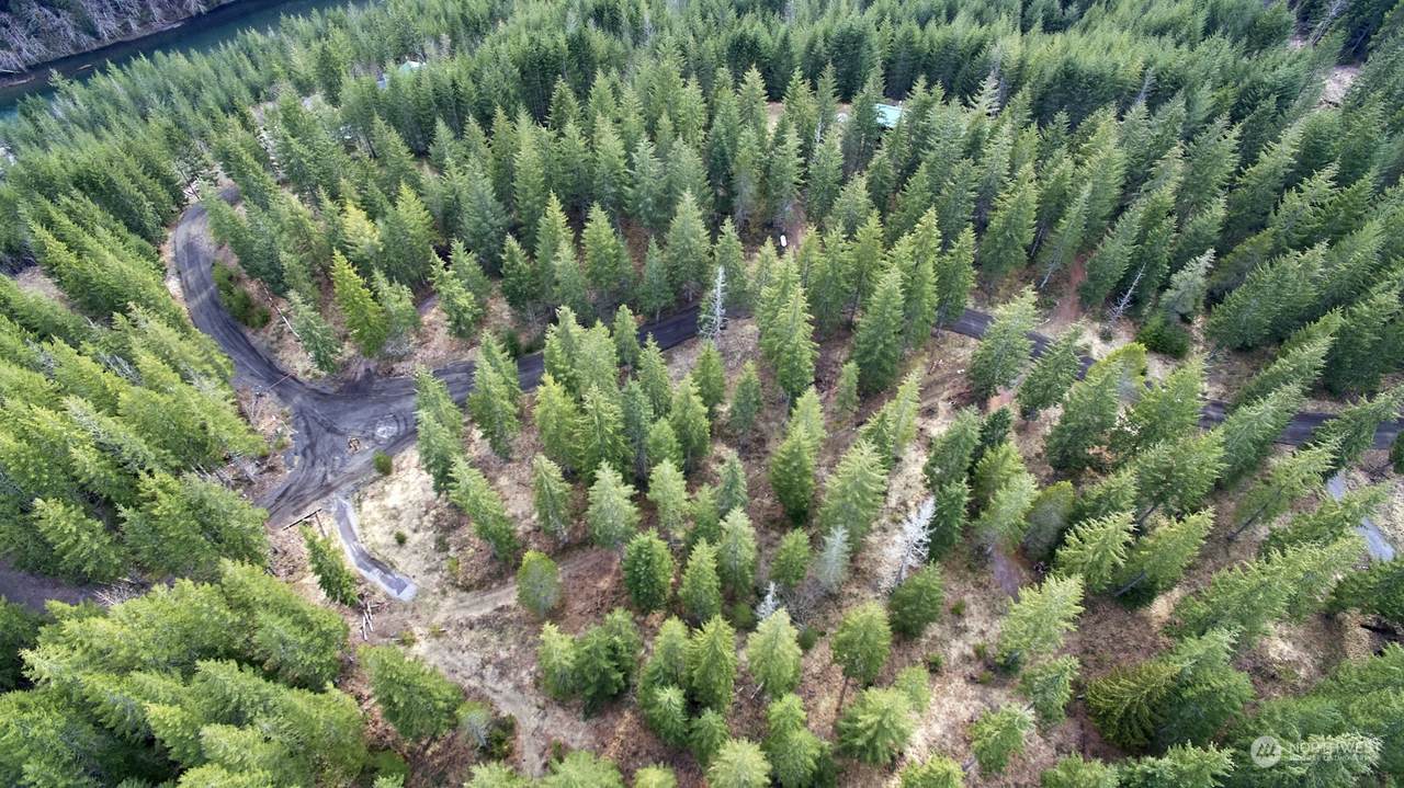 4 Loowit Lane - Photo 1