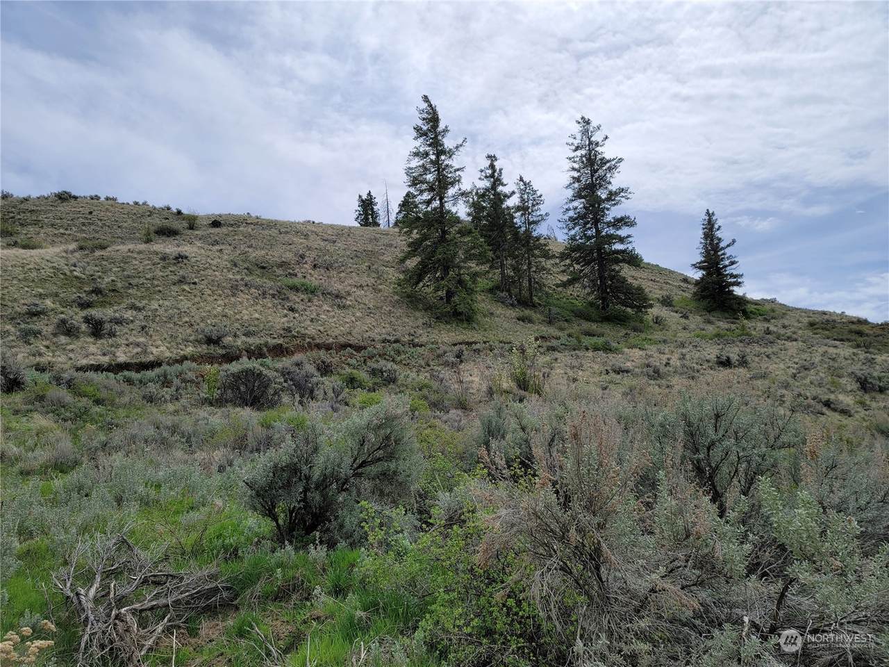 98 Tyee View Loop Rd - Photo 1