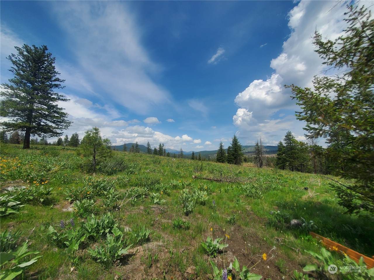 0 TBD Landers Road - Photo 1