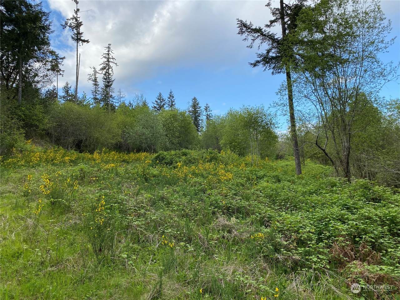 18703 Sr 302 - Photo 1