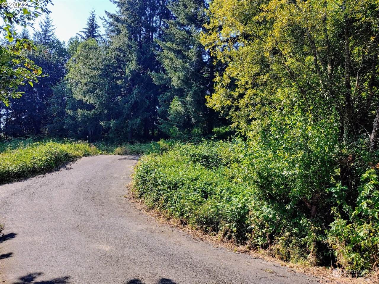 0 Feather Ridge Drive - Photo 1