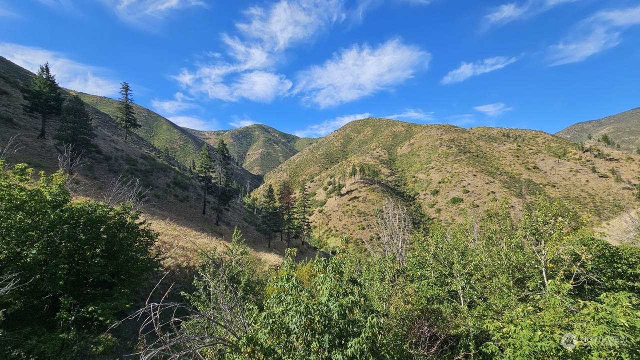 1 Mills Canyon Road - Photo 1