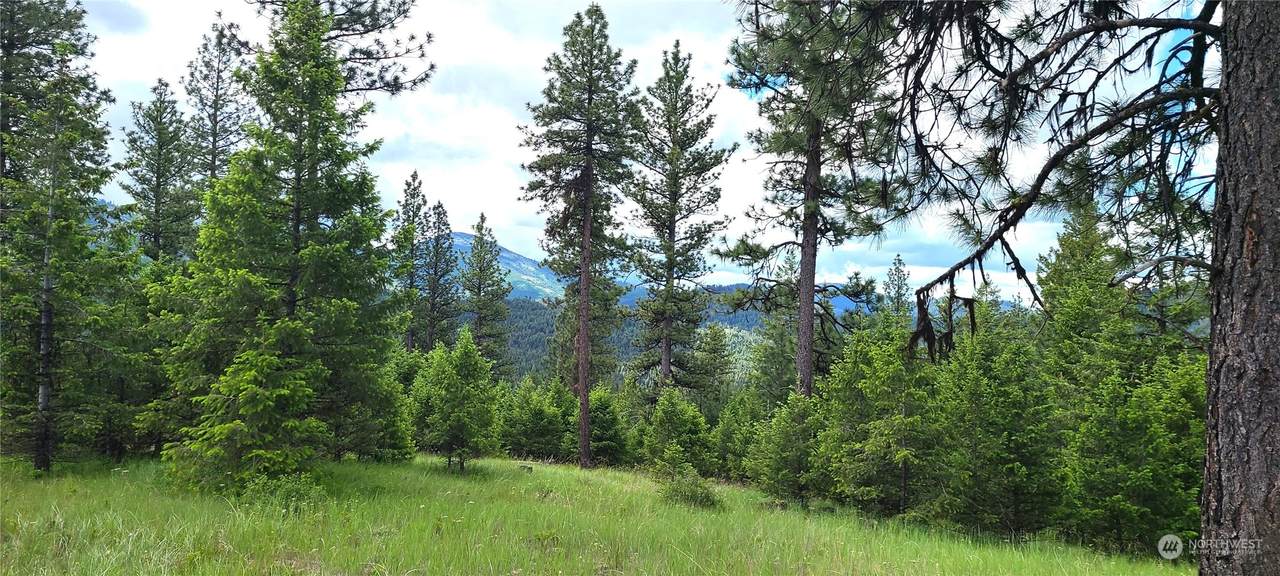 0 Lot 2 Old Kettle Falls Road - Photo 1