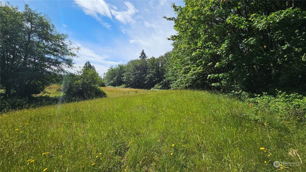 123 Pugh Road - Photo 1