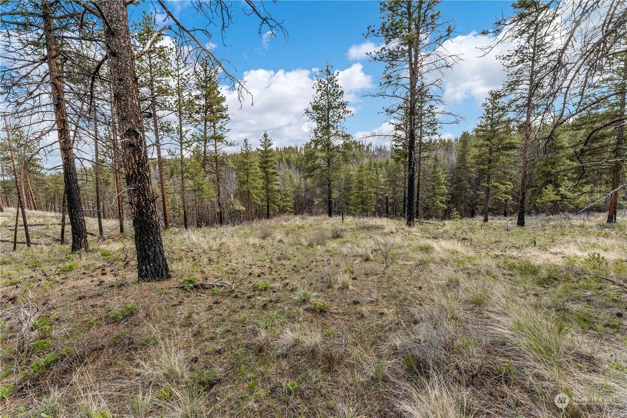 0 School House Lane - Photo 1