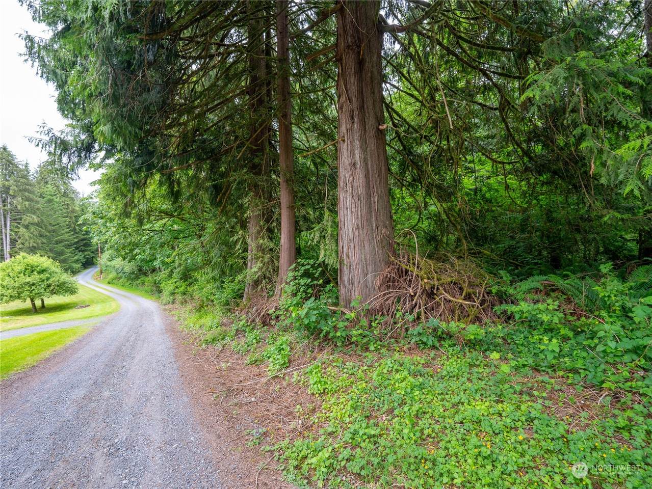 2 Lot 125th Avenue - Photo 1