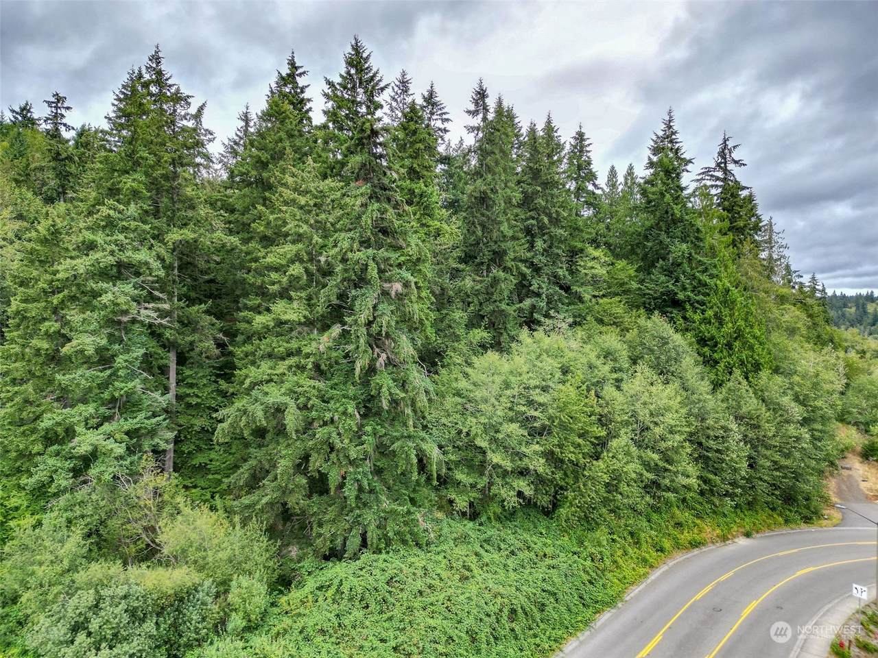 0 7th Avenue - Photo 1