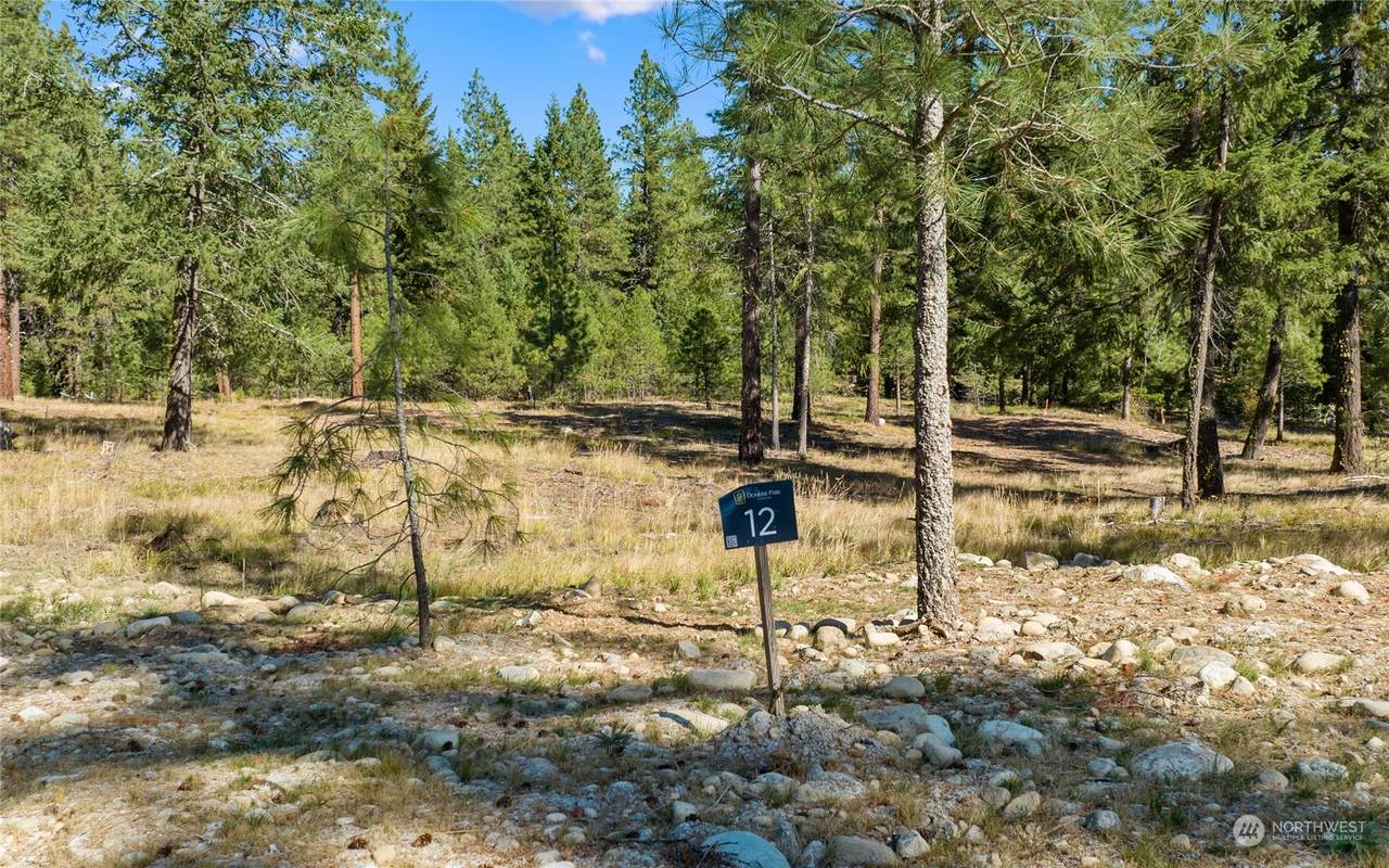 860 Domerie Park Loop - Photo 1