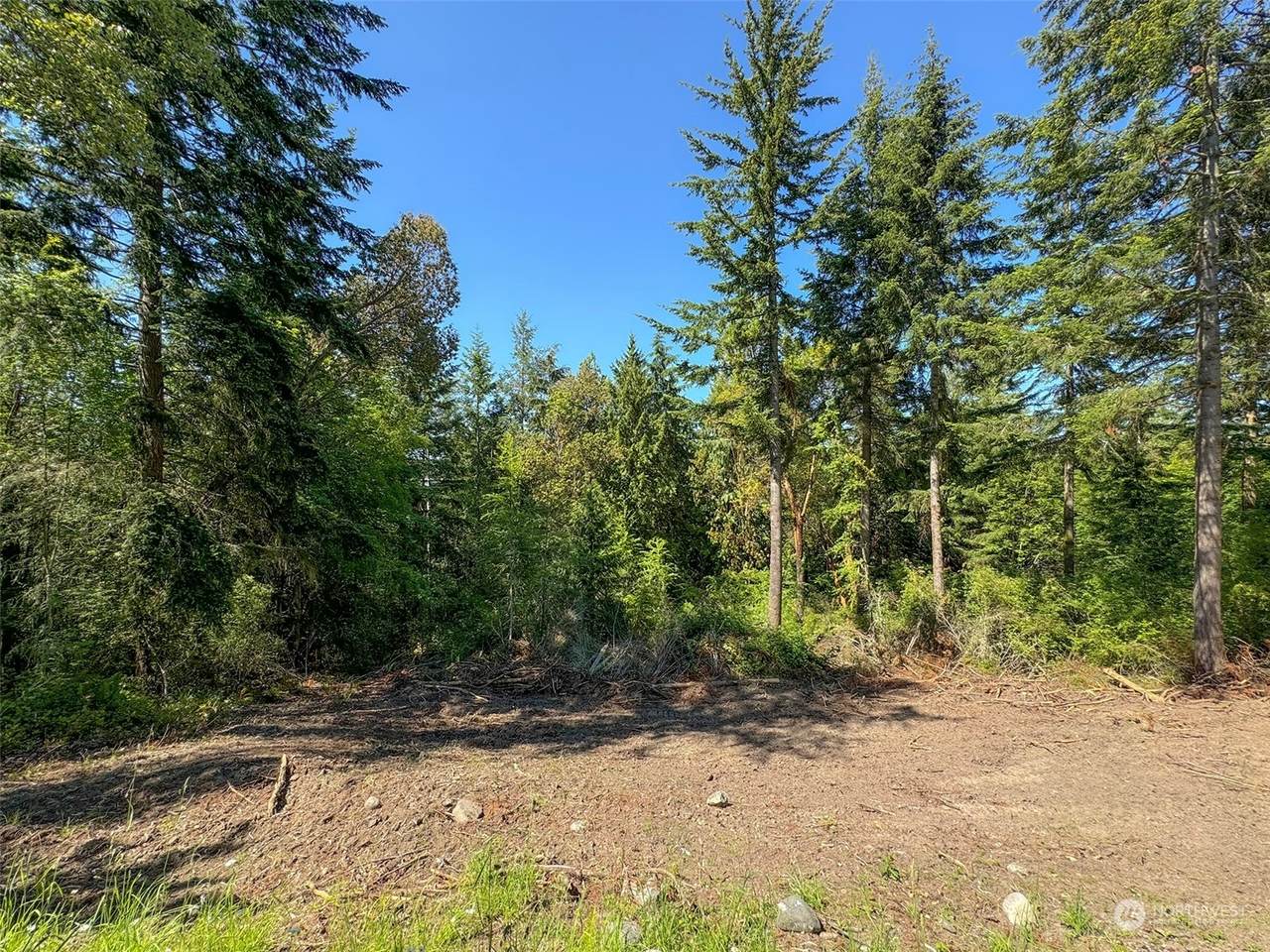 9999 Doe Run Road - Photo 1