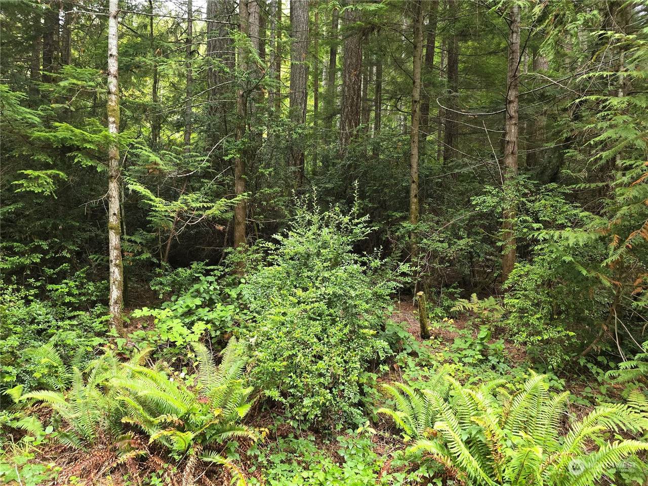 41 Paradise Drive - Photo 1