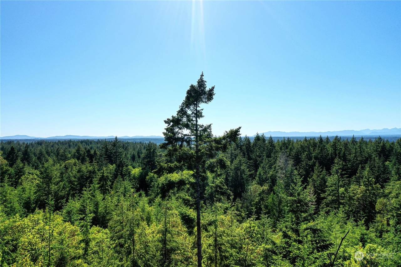 1415 208th Avenue - Photo 1