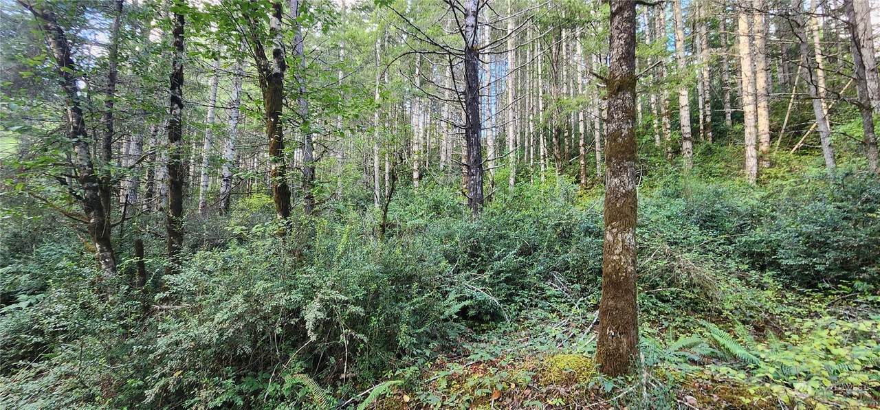 1400 Jensen Road - Photo 1