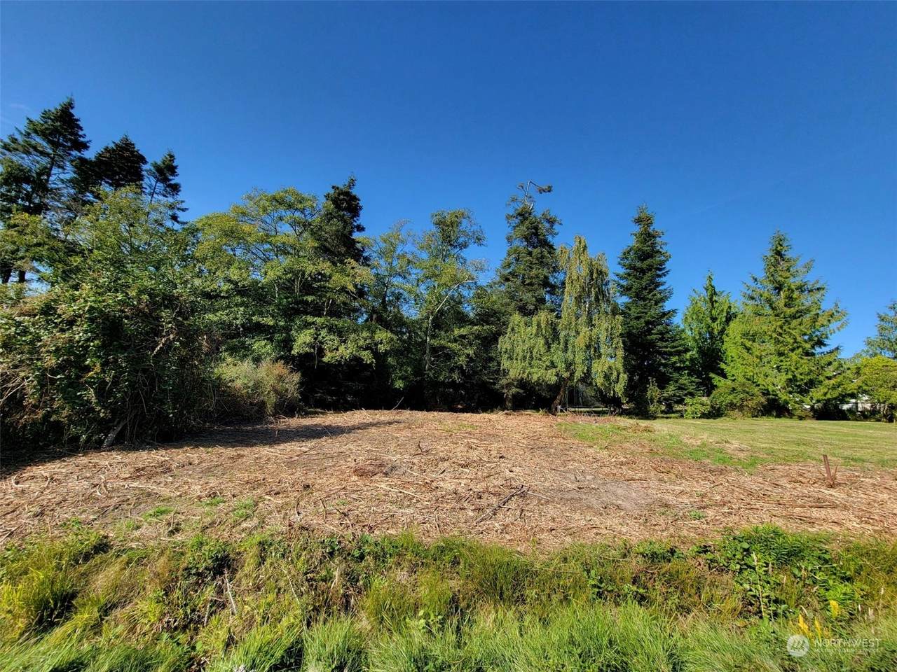 0 XXX Alderwood St - Photo 1