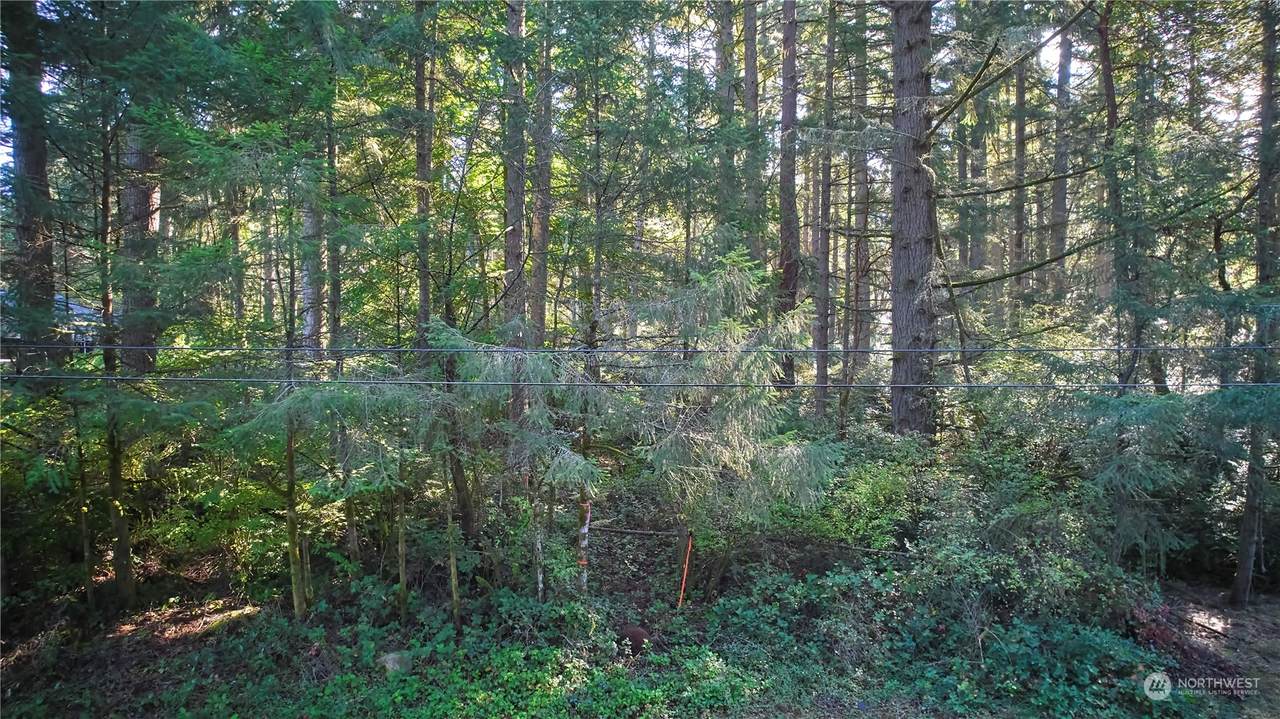 10217 Eckenstam Johnson Road - Photo 1