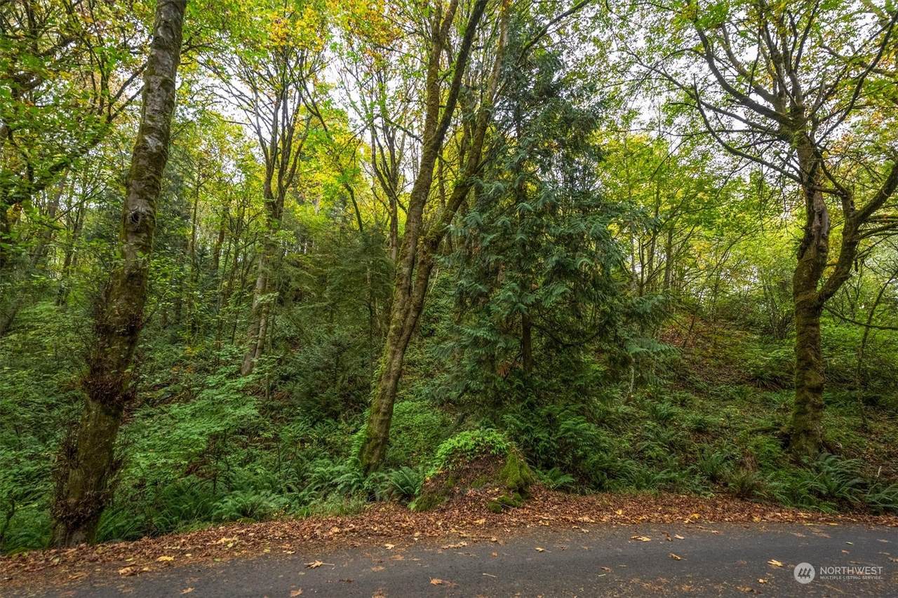 0 Niemi Rd - Photo 1