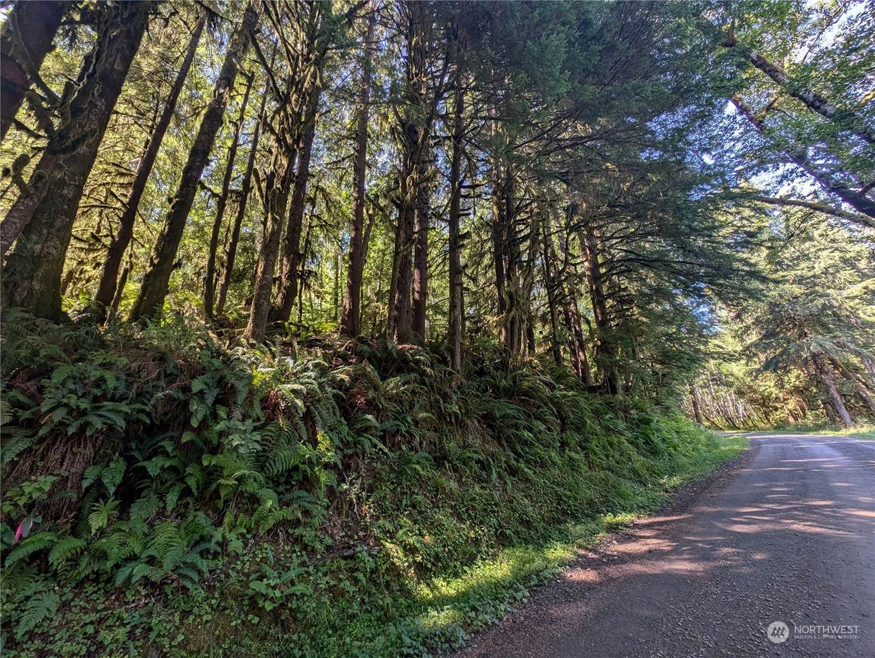 99991 Dowans Creek Road - Photo 1