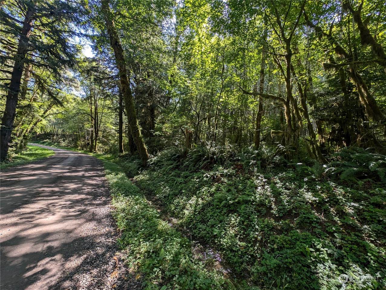 99994 Dowans Creek Road - Photo 1
