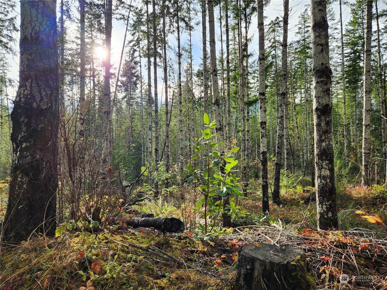0 Rocky Brook Road Road - Photo 1