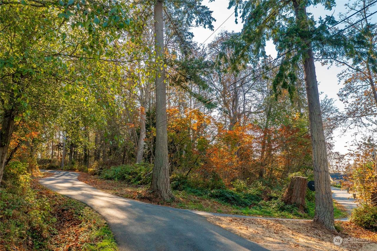 87 Oertel Drive - Photo 1