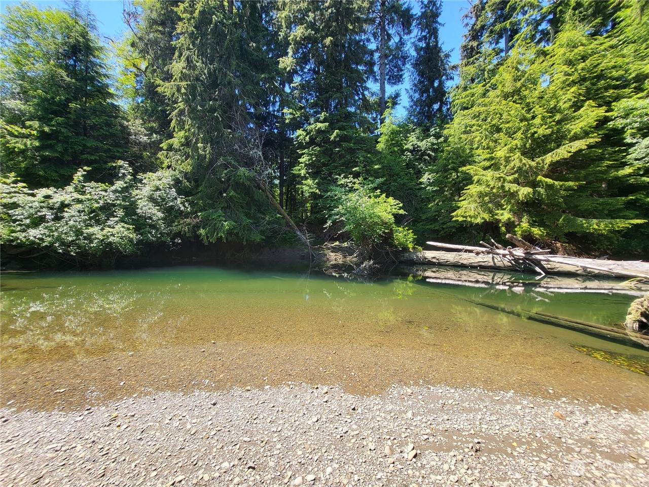 276 Sekiu River Road - Photo 1