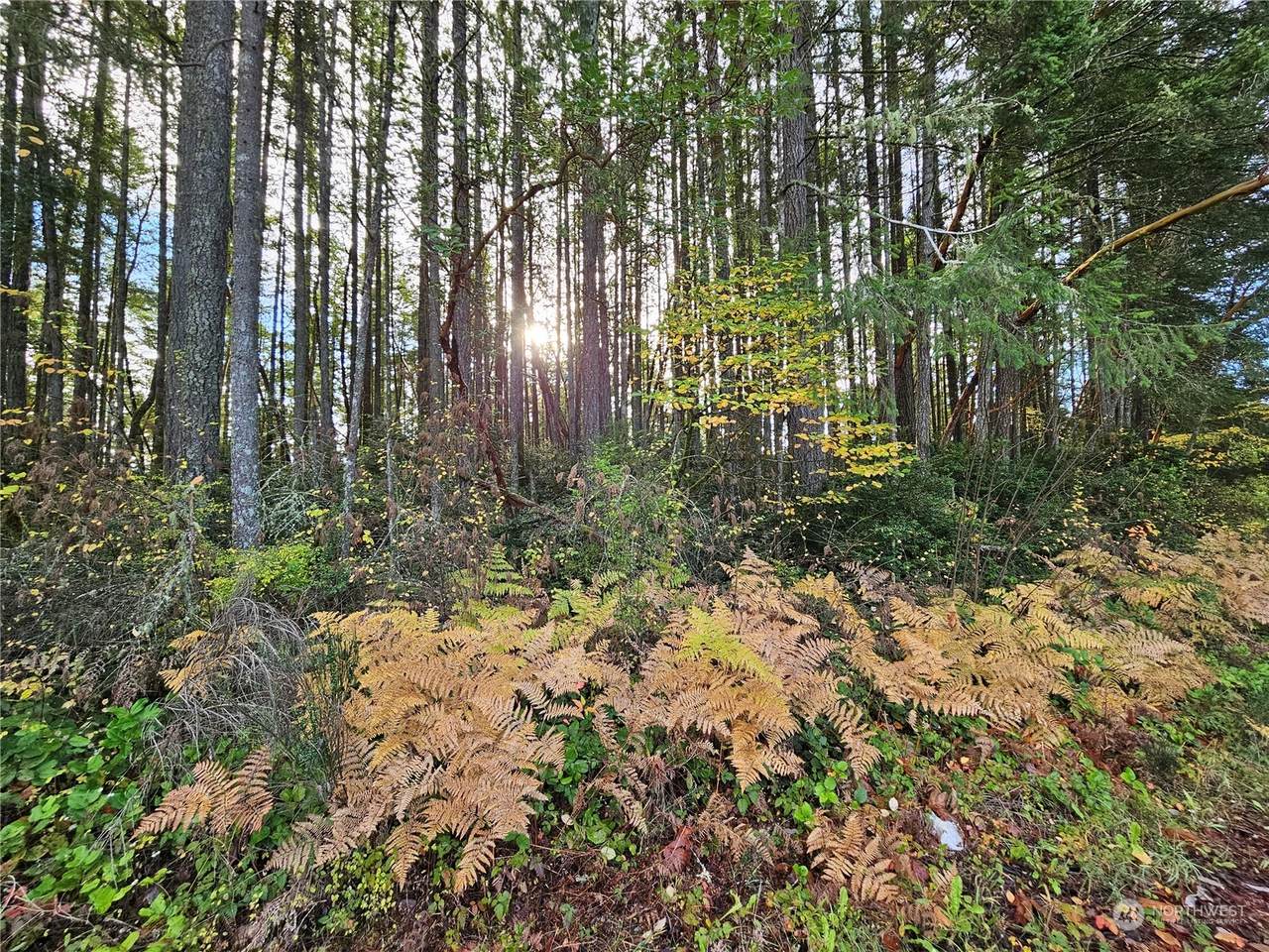 0 Larson Lake Road - Photo 1