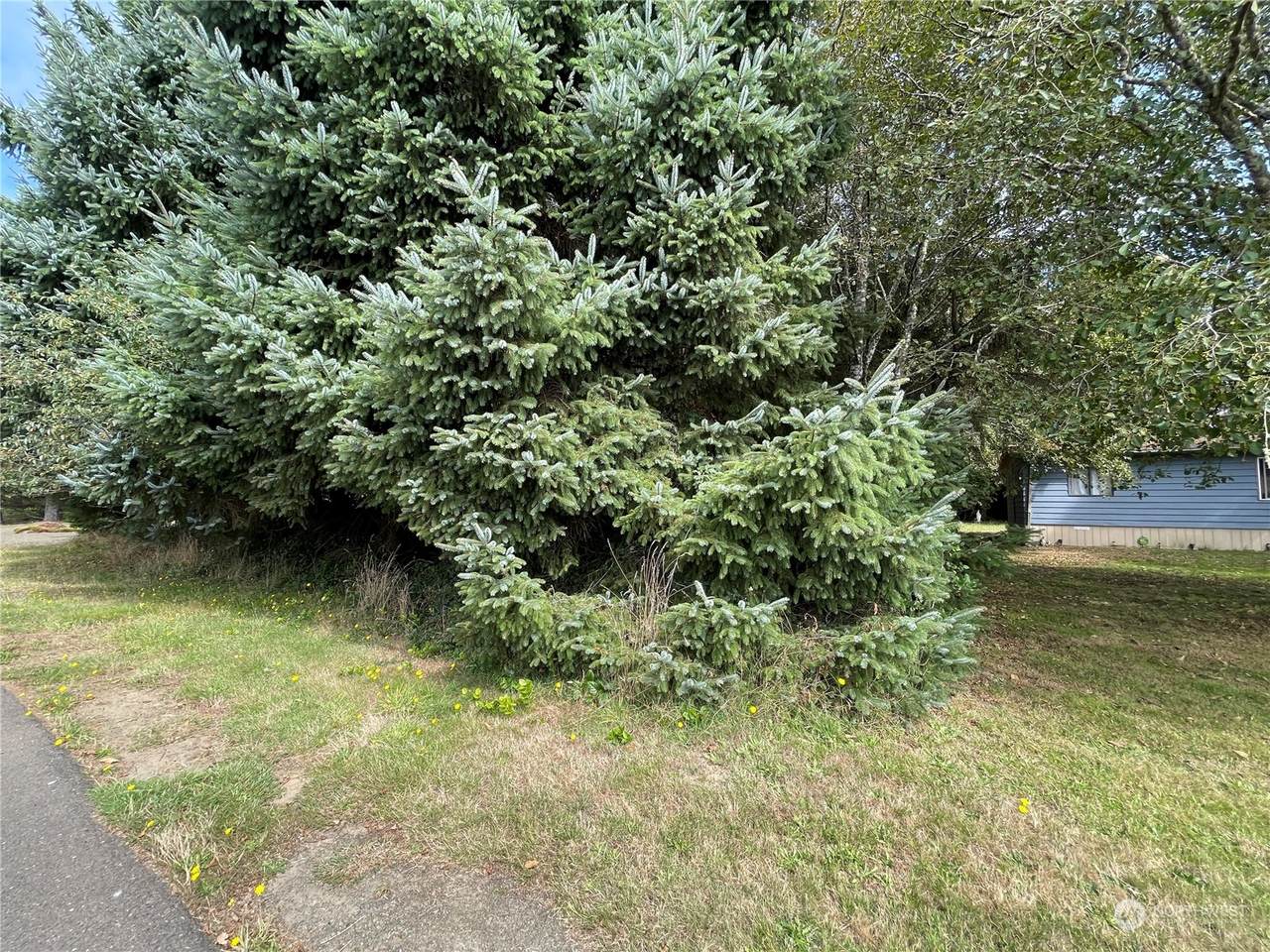 682 Copalis Avenue - Photo 1