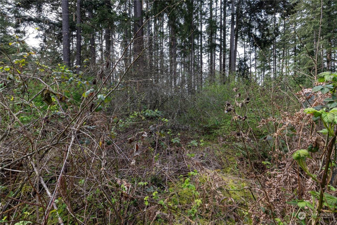 0 (Lot 3) 95th Avenue Ct - Photo 1