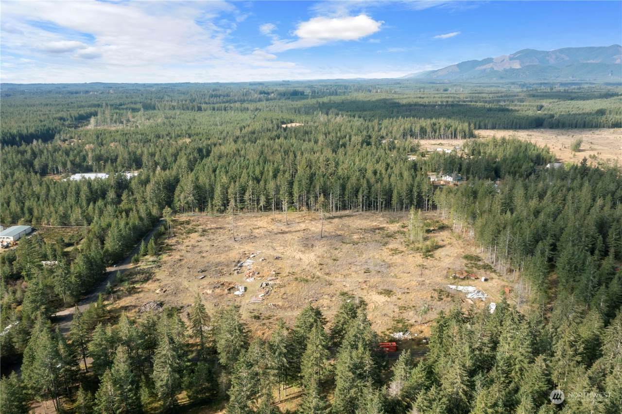 111 Bear Grass Lane - Photo 1