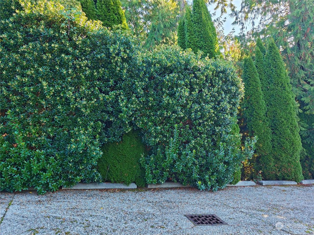 1518 207th Avenue - Photo 1
