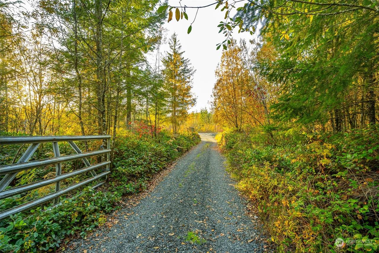 207 Meier Road - Photo 1