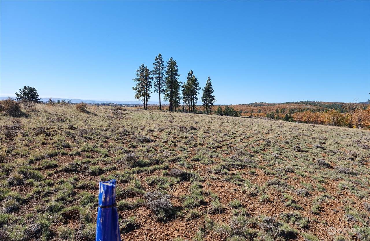 0 Lot 36 Bluebird Ridge - Photo 1