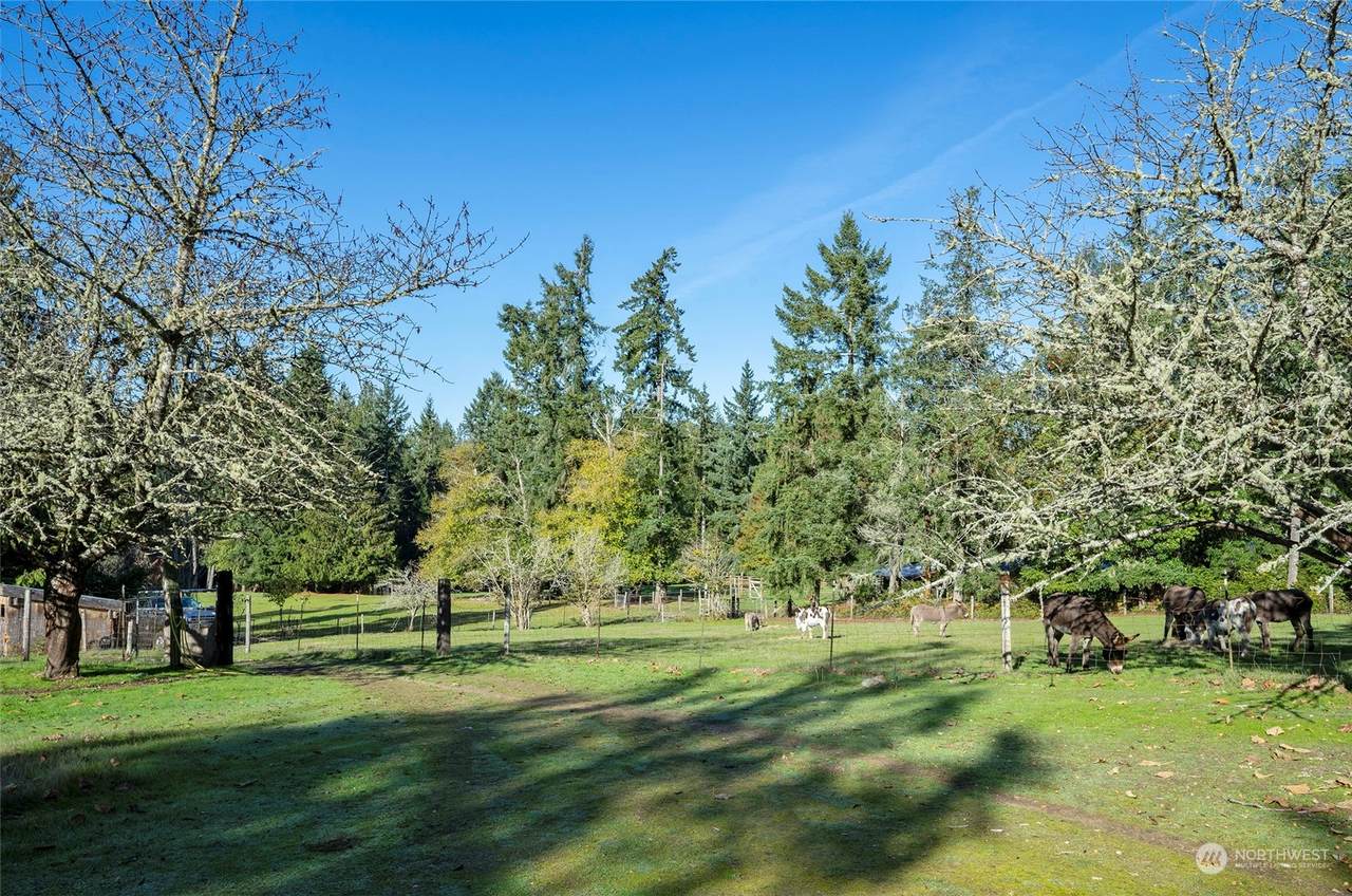 6529 Key Peninsula Hwy - Photo 1