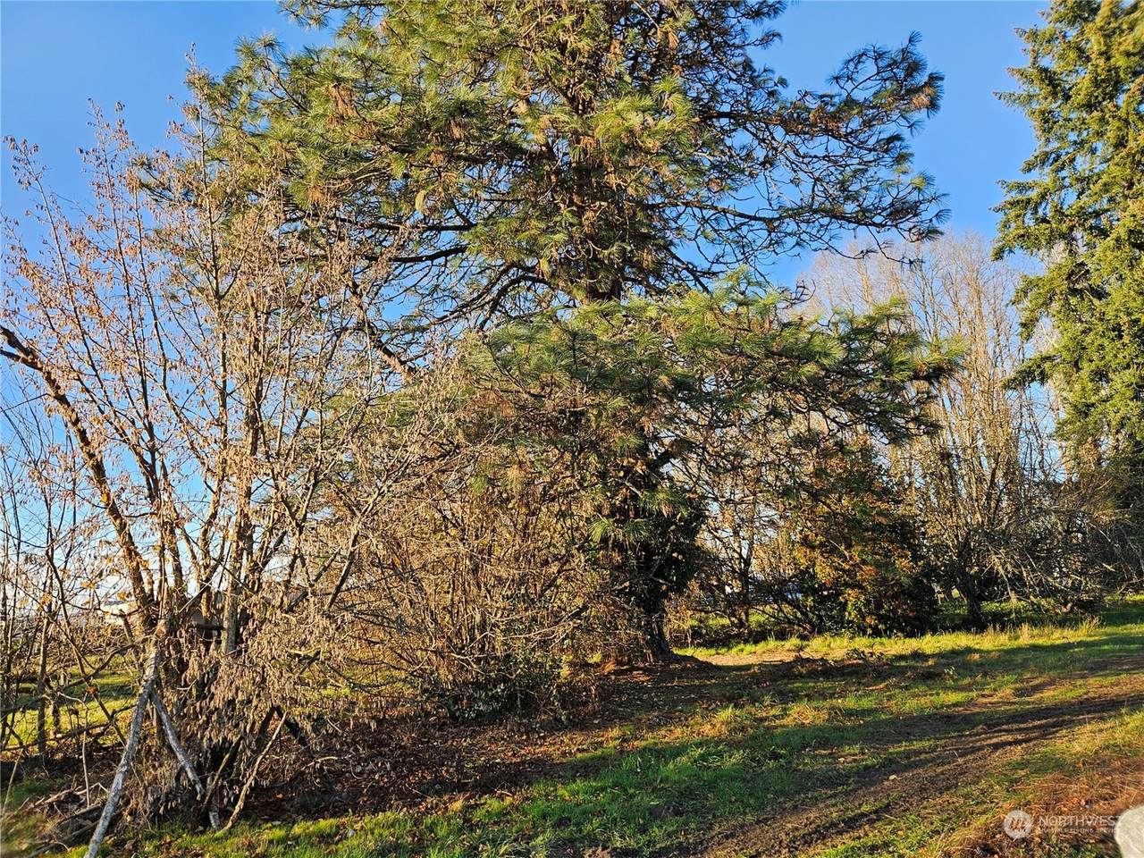 200 Walnut Street - Photo 1