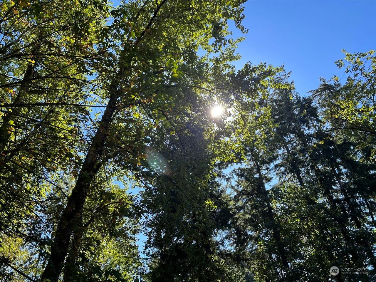 7704 Golden Given Rd E - Photo 1