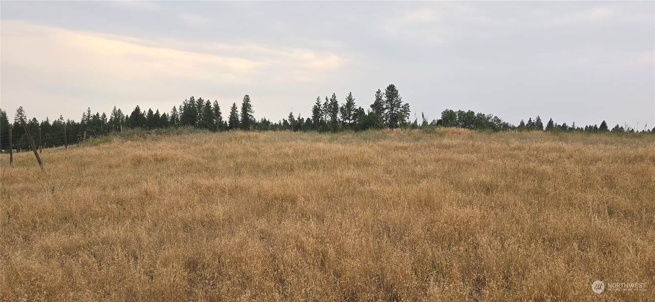30600 Mill Road - Photo 1