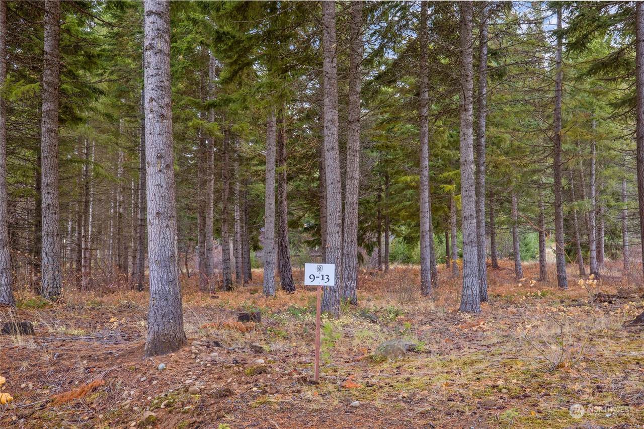 230 Goat Creek Lane - Photo 1