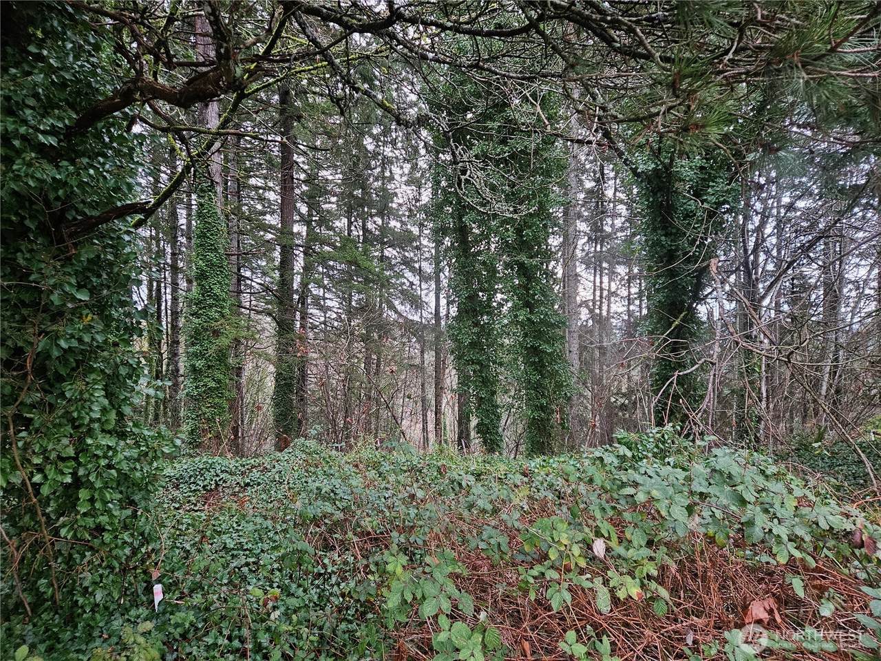 https://bt-photos.global.ssl.fastly.net/nwmls/1280_boomver_1_2333880-1.jpg