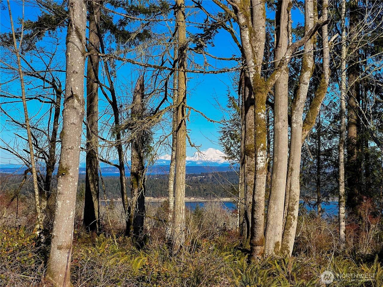 2998 Oak Bay Road - Photo 1