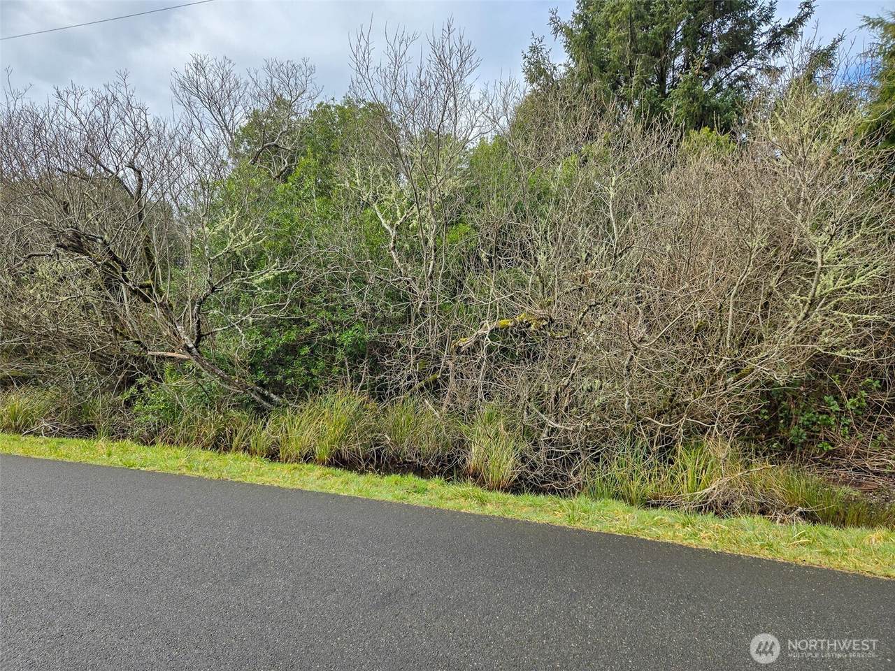 318 Wynoochee Drive - Photo 1