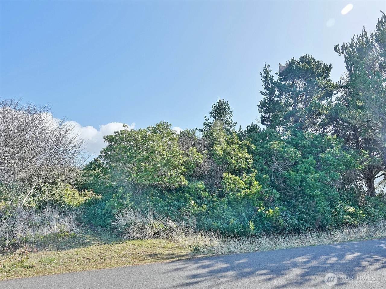 470 Sand Dune Avenue - Photo 1