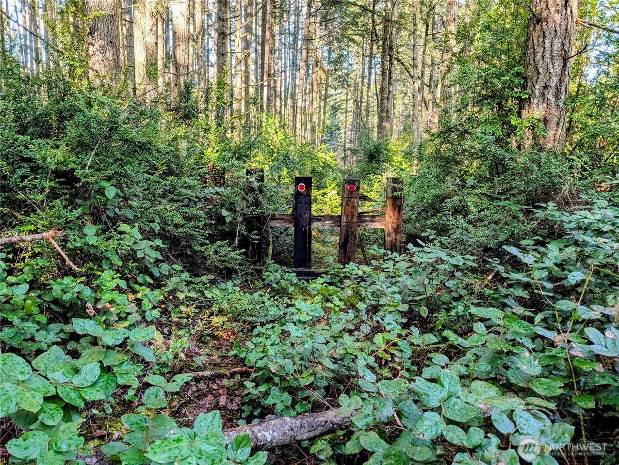 0 30th Street - Photo 1