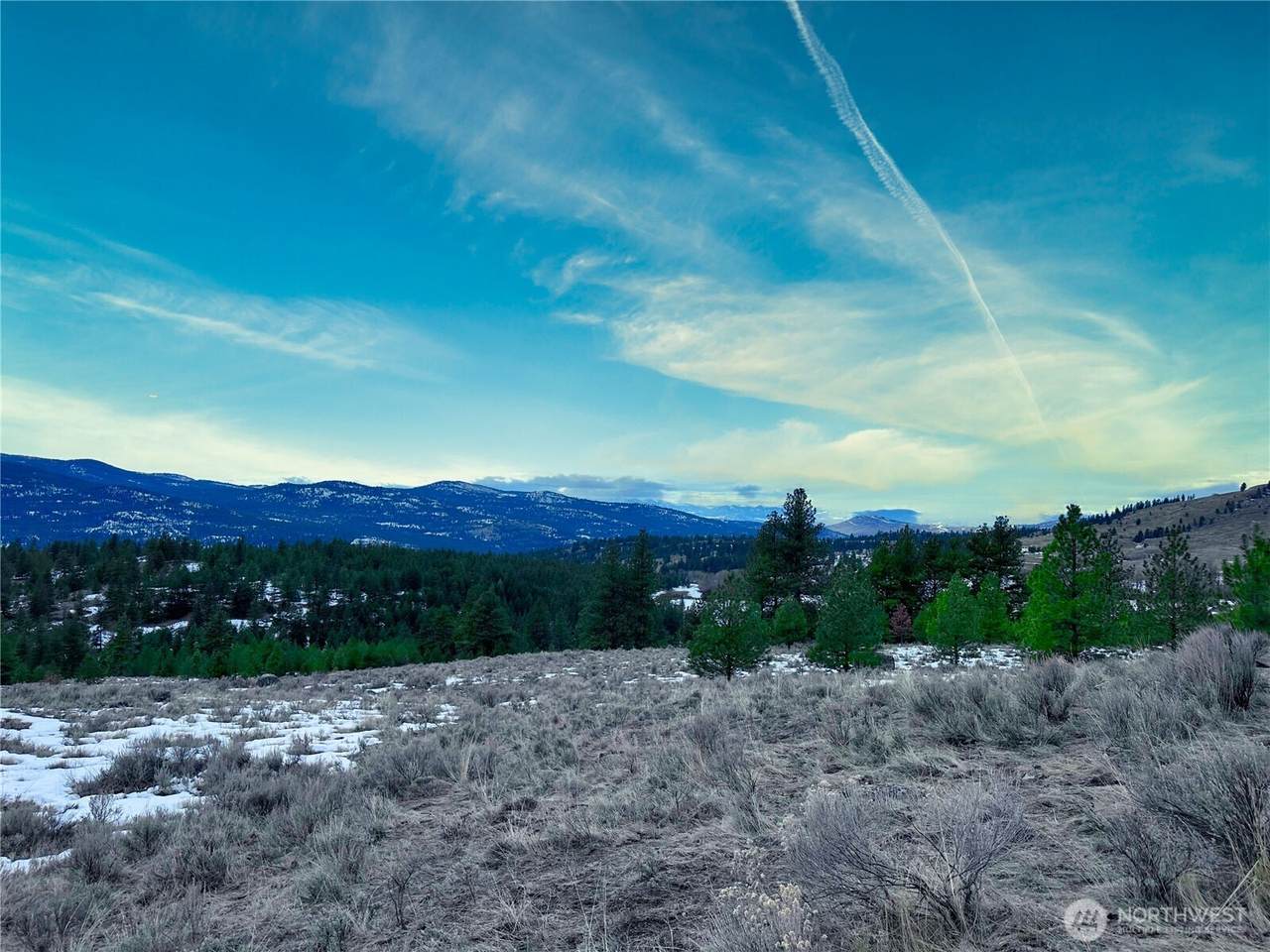 1111 TBD White Tail Lane - Photo 1