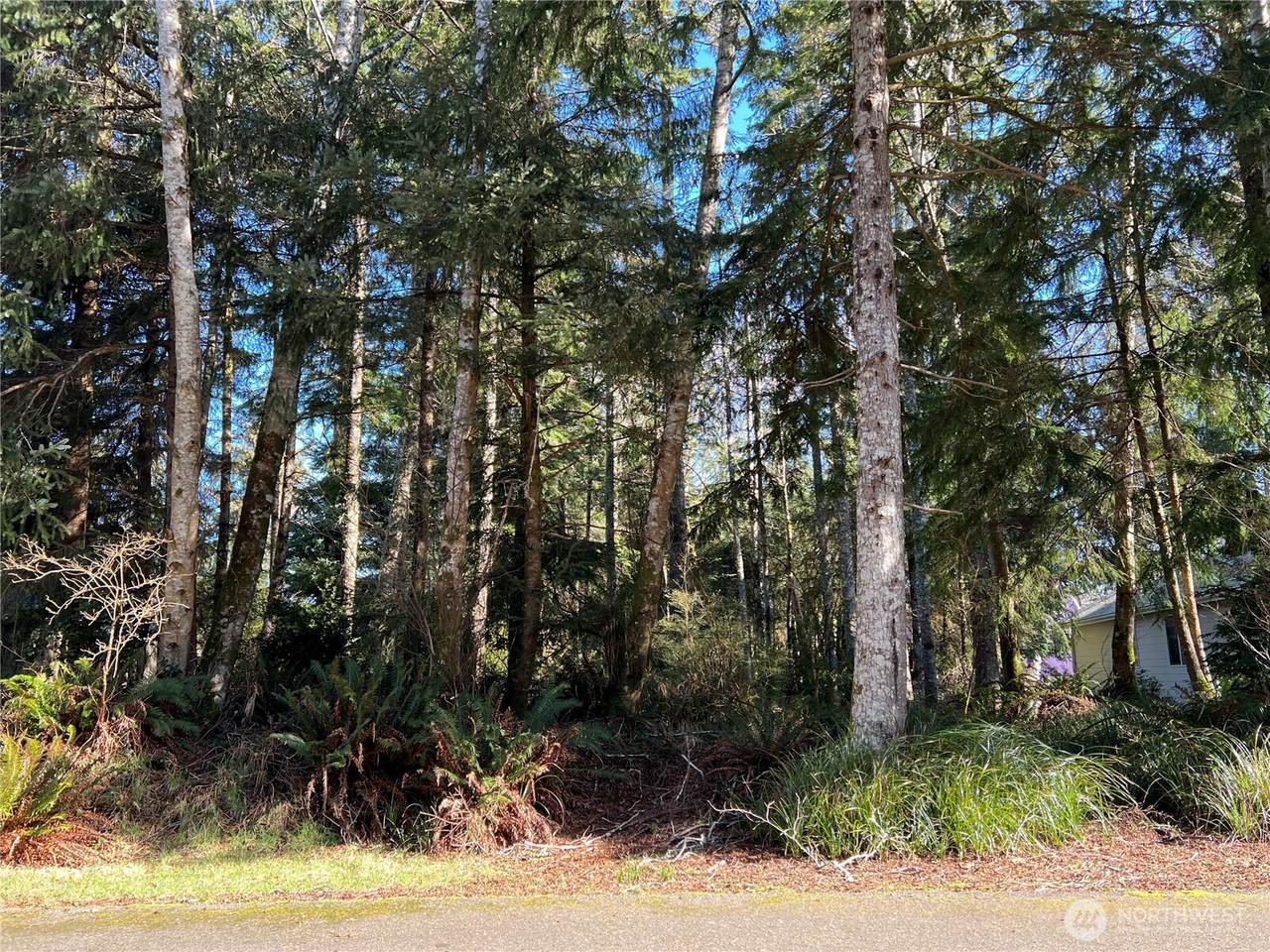 336 Hyde Court - Photo 1