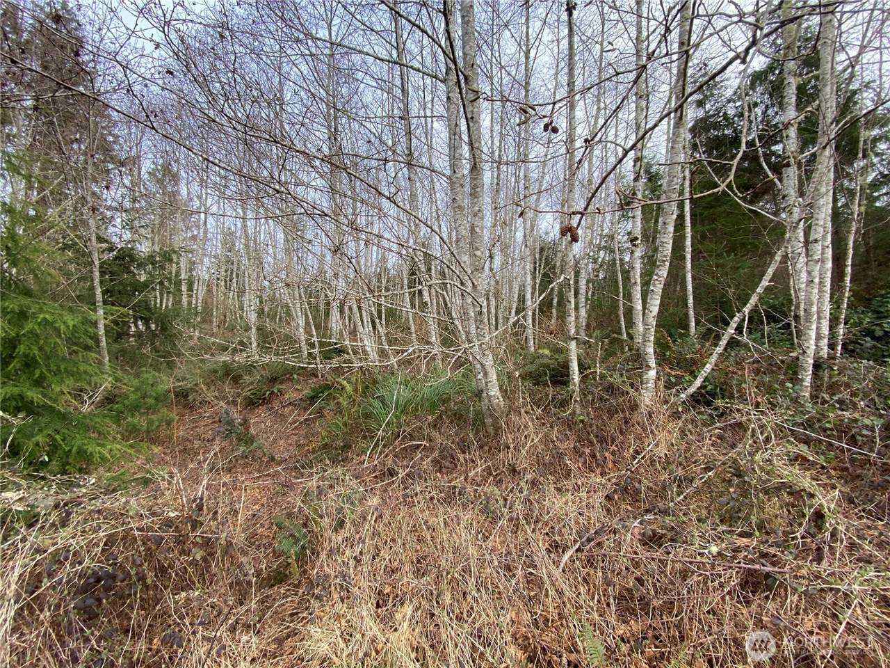 https://bt-photos.global.ssl.fastly.net/nwmls/1280_boomver_1_2343105-1.jpg