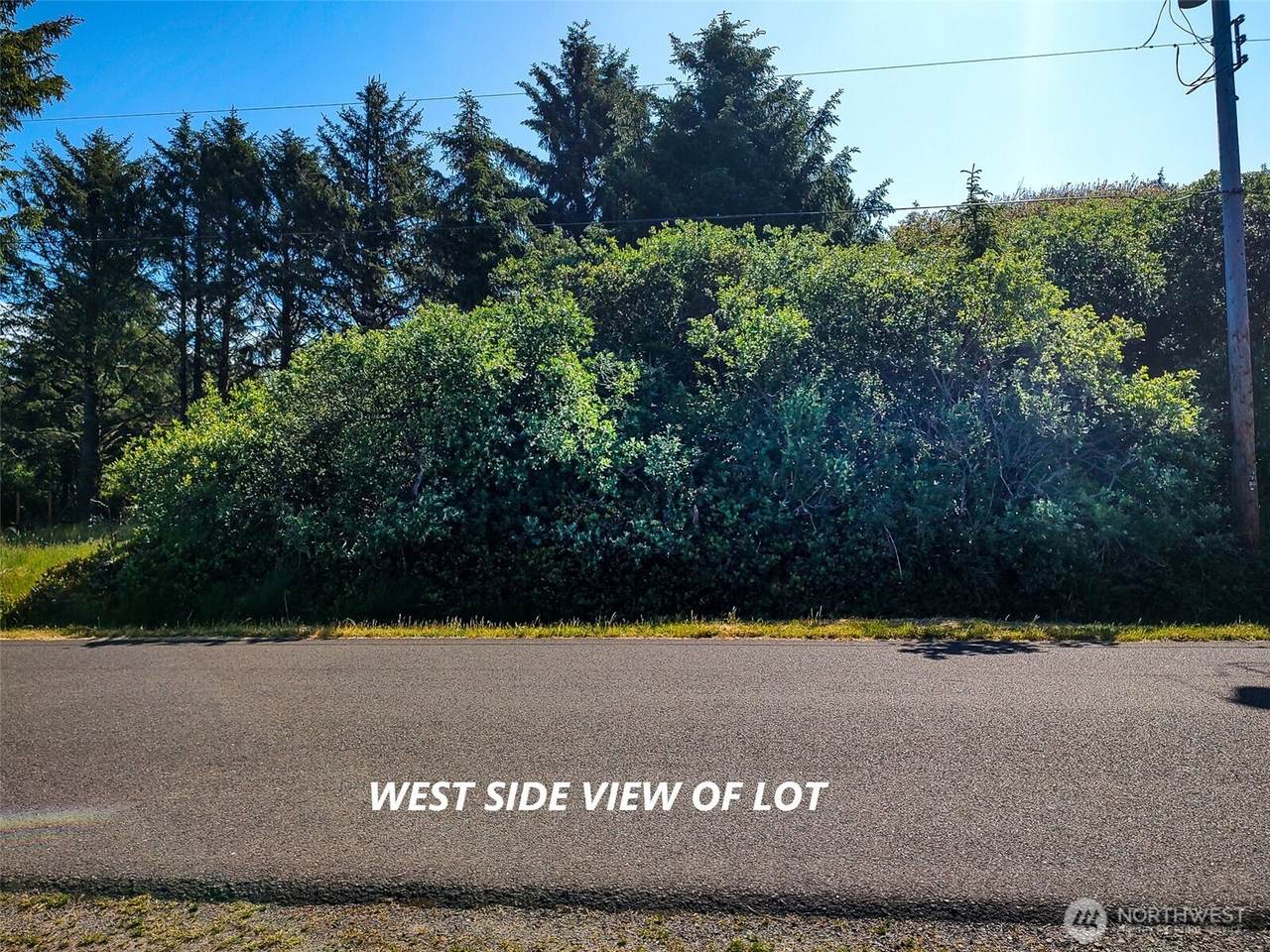 474 Volans Avenue - Photo 1