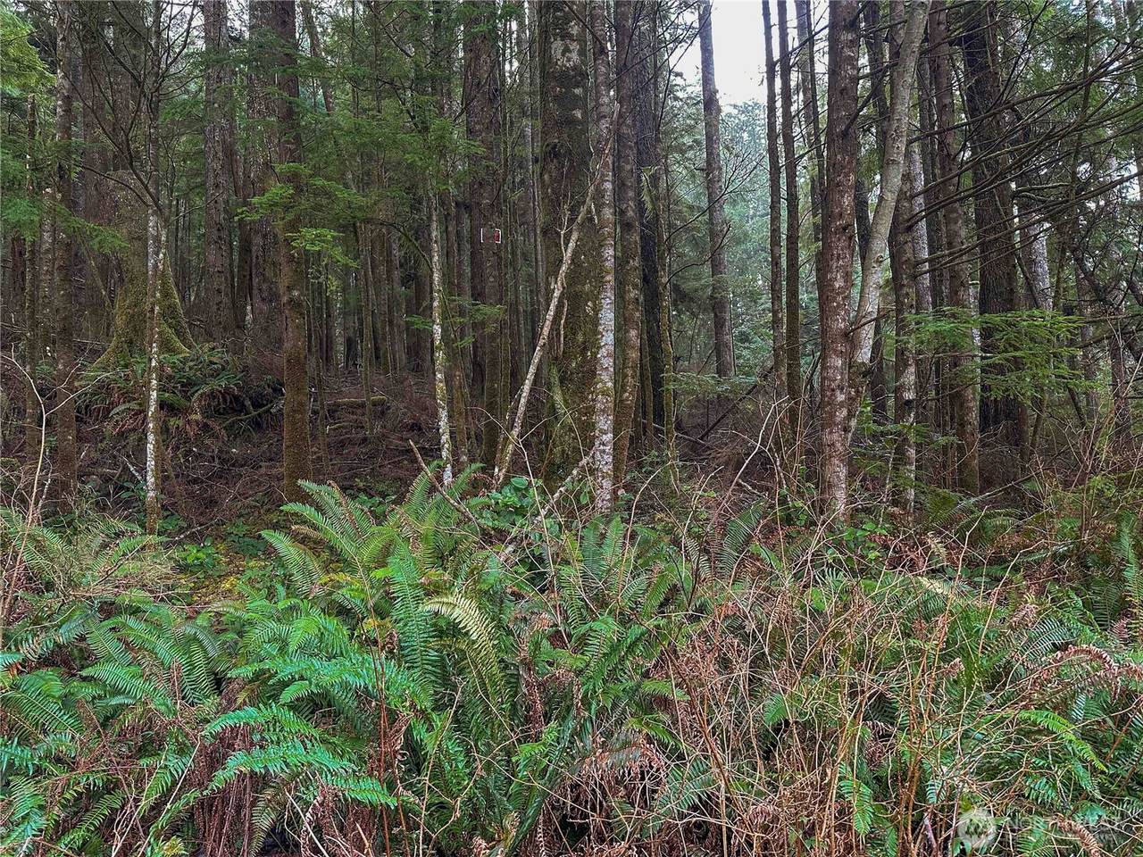 0 TR 15 Salal Drive - Photo 1