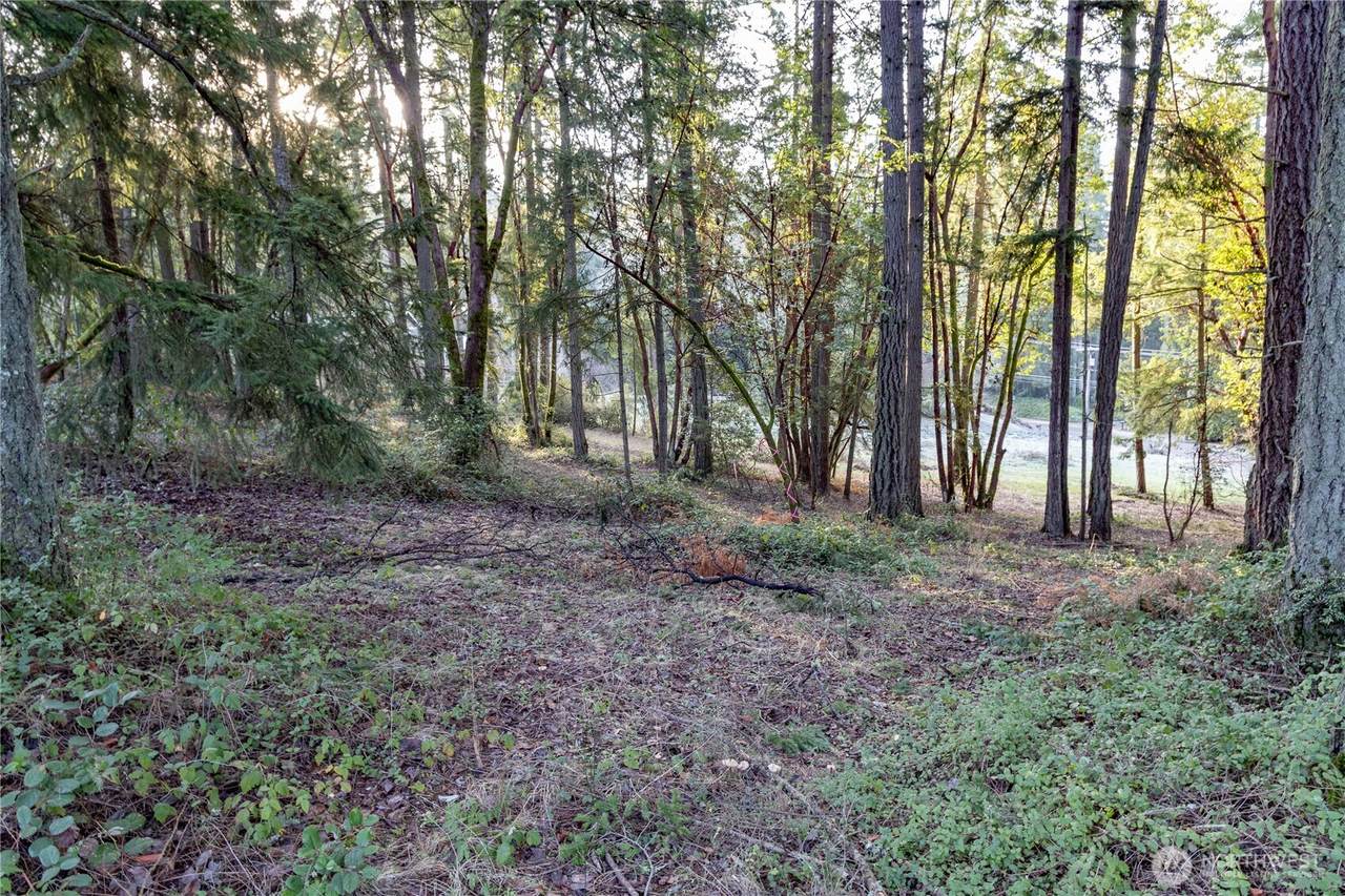 0 Lemolo Shore, Parcel 3-006 Drive - Photo 1
