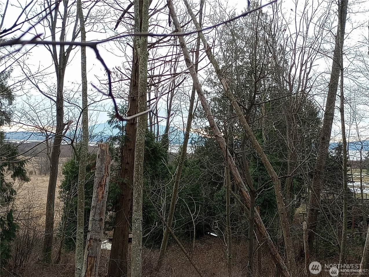 0 Red River Road - Photo 1