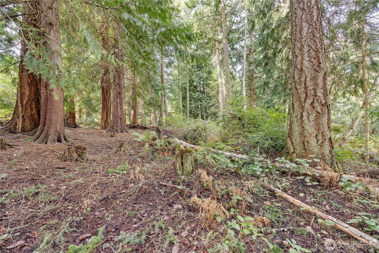 225 Belvedere Drive - Photo 1